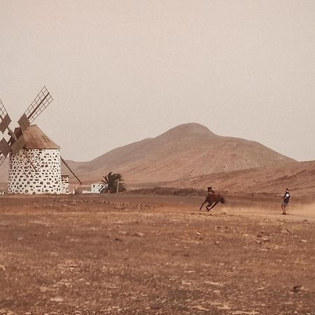 Casa Cocolores Villaverde  Εξωτερικό φωτογραφία